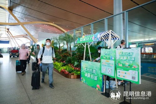 同比增长339 五一假期云南省内机场运送旅客92.6万人次